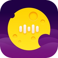 任意游