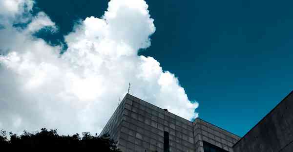 为什么布谷加速器没有办法下载